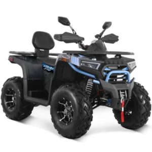 Maxi Quad Mammoth 270cc Ruote 10